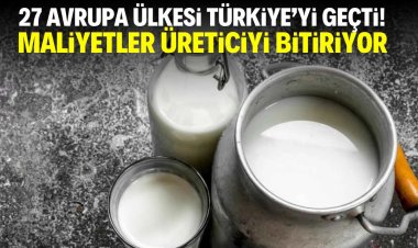 Girdi fiyatlarında artış