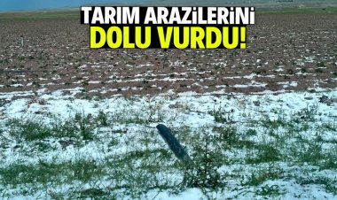 Aksaray'da tarım arazilerini dolu vurdu!