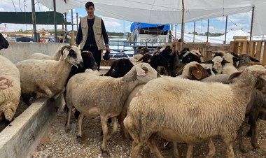 Konya’da kurban satıcıları  arife günü yoğunluk bekliyor