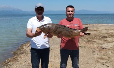 Beyşehir Gölünde ağlara vuran 17 kiloluk sazan balığı şaşırttı