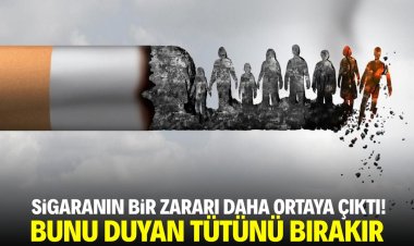 SİGARANIN  ZARARLARI