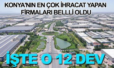 İHRACAT YAPAN FİRMALAR