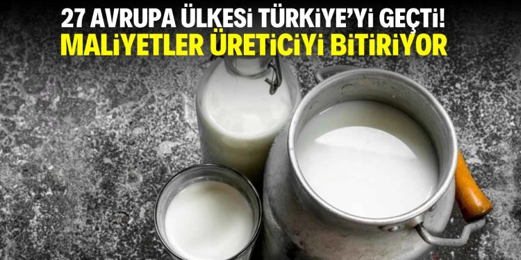 Girdi fiyatlarında artış