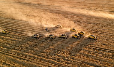 TMO HUBUBAT FİYATLARINI AÇIKLADI