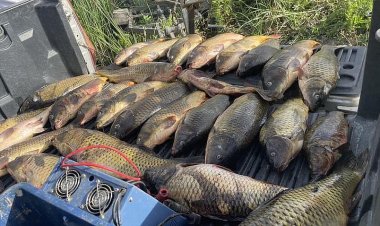 Beyşehir Gölünde avlanma yasağı sona eriyor