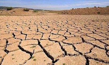 Kıraç alanlarda verim kaybı üst seviyelerde