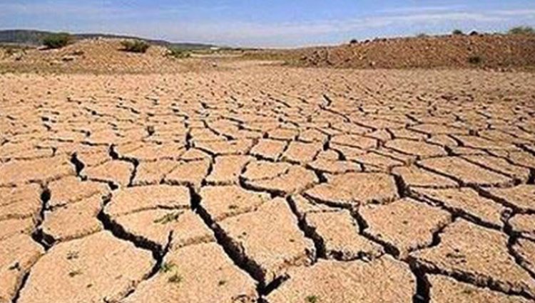 Kıraç alanlarda verim kaybı üst seviyelerde