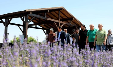 Lavanta bahçesi cazibe merkezi oldu