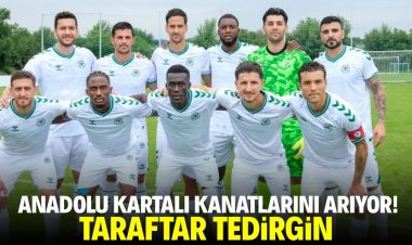 Anadolu Kartalı kanatlarını arıyor!