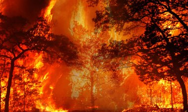 Beş günde 342 yangın çıktı: "En sorunlu bölge Antakya"