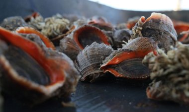 Türkiye'de kimse tüketmiyor! 5 ülkeye satıldı