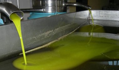 Türk markalı zeytinyağının  satışı Avrupa'da yasaklandı