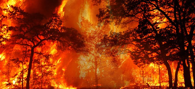 Beş günde 342 yangın çıktı: "En sorunlu bölge Antakya"