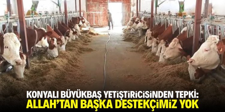 Konya’da büyükbaş yetiştiricisinden tepki