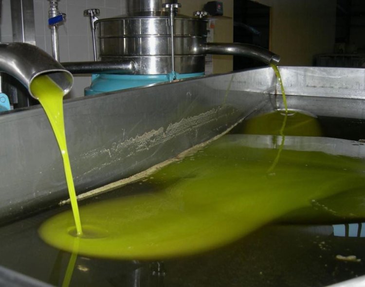 Türk markalı zeytinyağının  satışı Avrupa'da yasaklandı