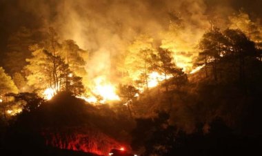 Orman yangınları !