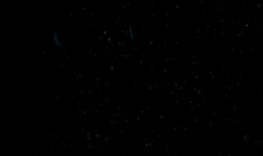 SAHTE İÇKİ YAKALANDI