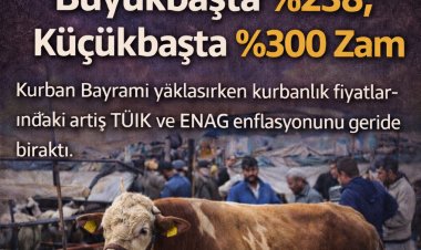 Kurbanlık Fiyatları Enflasyonu Aştı: Büyükbaşta %238, Küçükbaşta %300 Zam