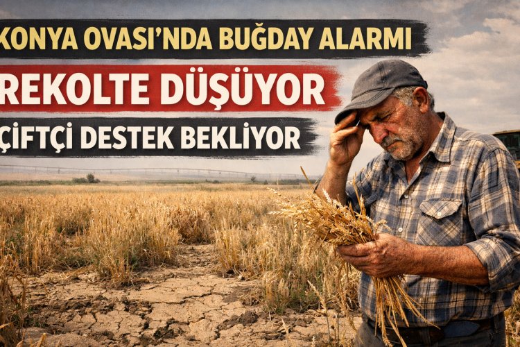Konya Ovası’nda Buğday Alarmı: Rekolte Düşüyor, Çiftçi Destek Bekliyor