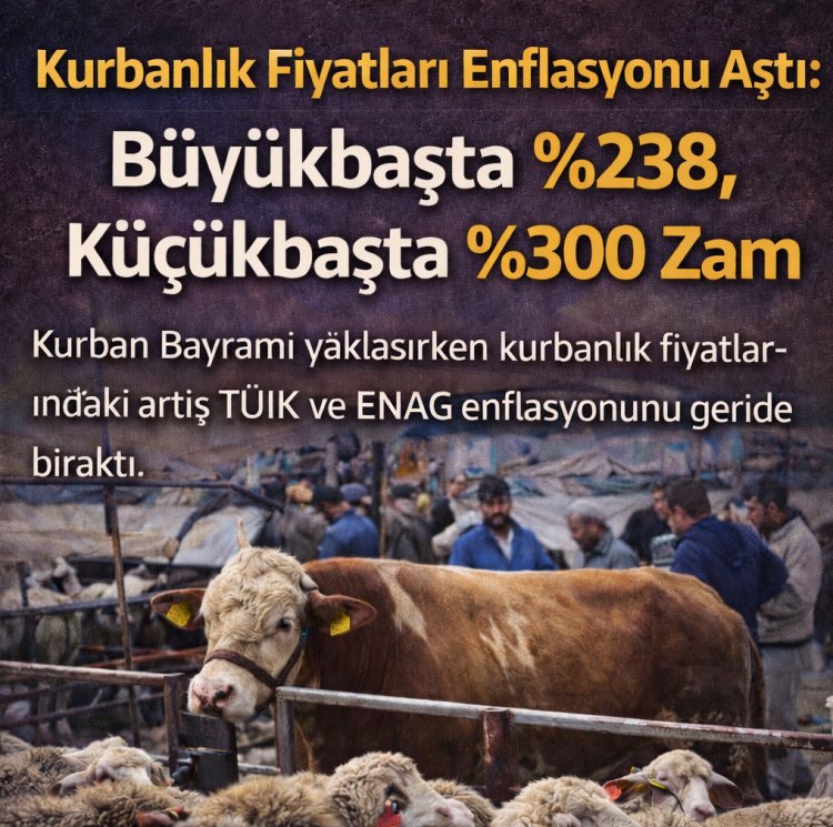Kurbanlık Fiyatları Enflasyonu Aştı: Büyükbaşta %238, Küçükbaşta %300 Zam