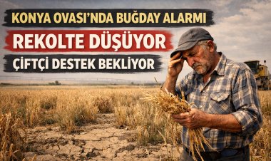 Konya Ovası’nda Buğday Alarmı: Rekolte Düşüyor, Çiftçi Destek Bekliyor
