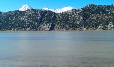 Gembos Ovası Taşkın Altında: Tarım Arazilerinin Büyük Bölümü Sulara Gömüldü!
