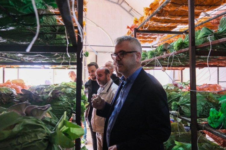 Rüzgardan Serası Zarar Gören Üreticiye Başkan Ustaoğlu’ndan Destek Ziyareti!