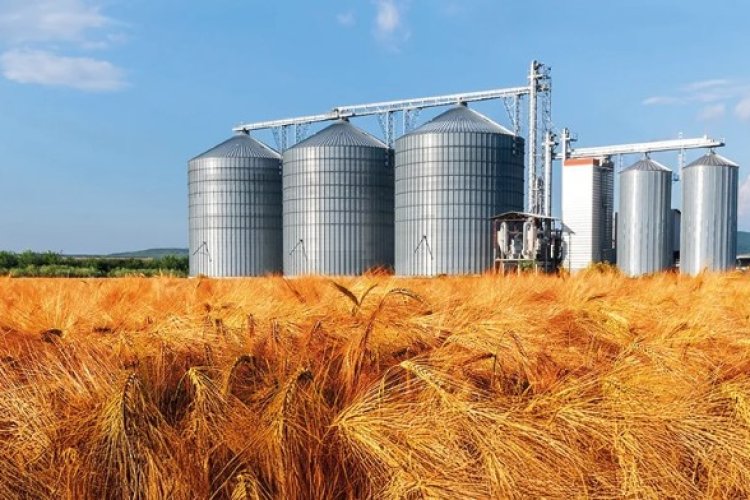 KÜRESEL GIDA FİYATLARI 5 AY SONRA İLK KEZ YÜKSELDİ!