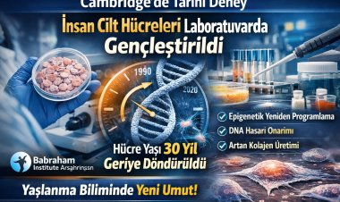 Cambridge’de Çarpıcı Bilimsel Deney: İnsan Cilt Hücreleri Laboratuvarda Gençleşti!