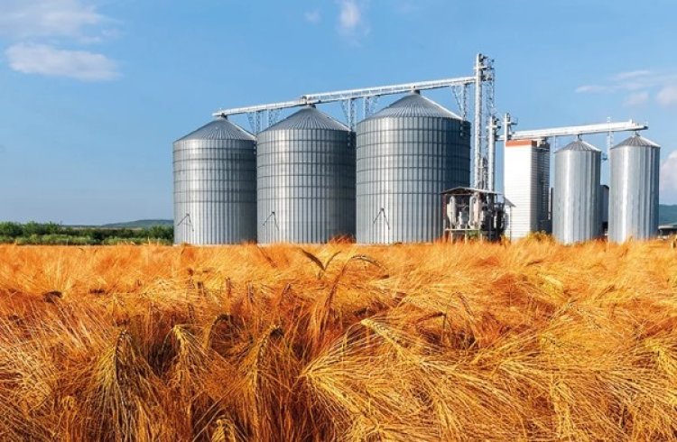 KÜRESEL GIDA FİYATLARI 5 AY SONRA İLK KEZ YÜKSELDİ!