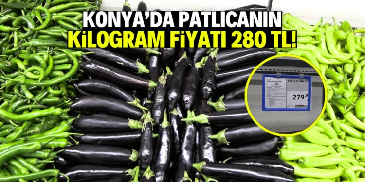 patlıcan 280 TL