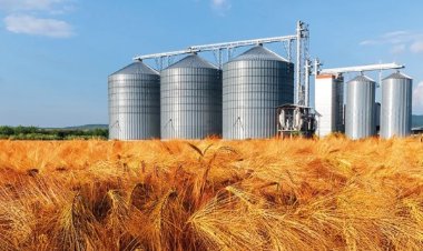 KÜRESEL GIDA FİYATLARI 5 AY SONRA İLK KEZ YÜKSELDİ!