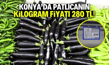 patlıcan 280 TL