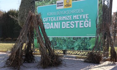 Konya Büyükşehir’den Çiftçiye Fidan Desteği: 23 Bin 530 Fidan Üreticilerle Buluşacak!