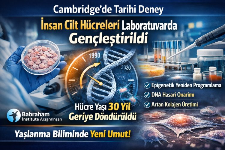 Cambridge’de Çarpıcı Bilimsel Deney: İnsan Cilt Hücreleri Laboratuvarda Gençleşti!