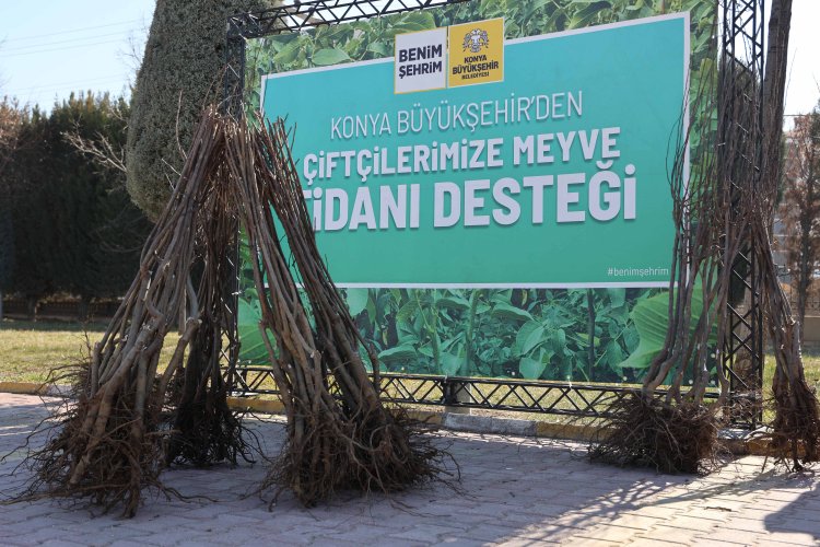 Konya Büyükşehir’den Çiftçiye Fidan Desteği: 23 Bin 530 Fidan Üreticilerle Buluşacak!