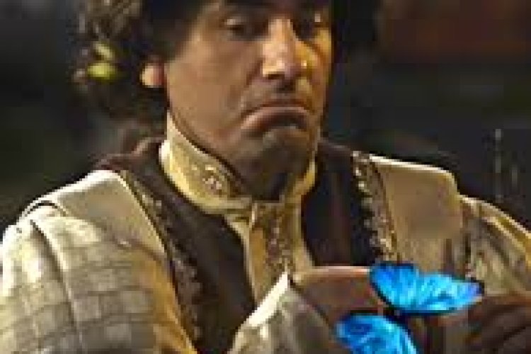 Saray gelenekleri hakkındaki düşünceniz nedir?